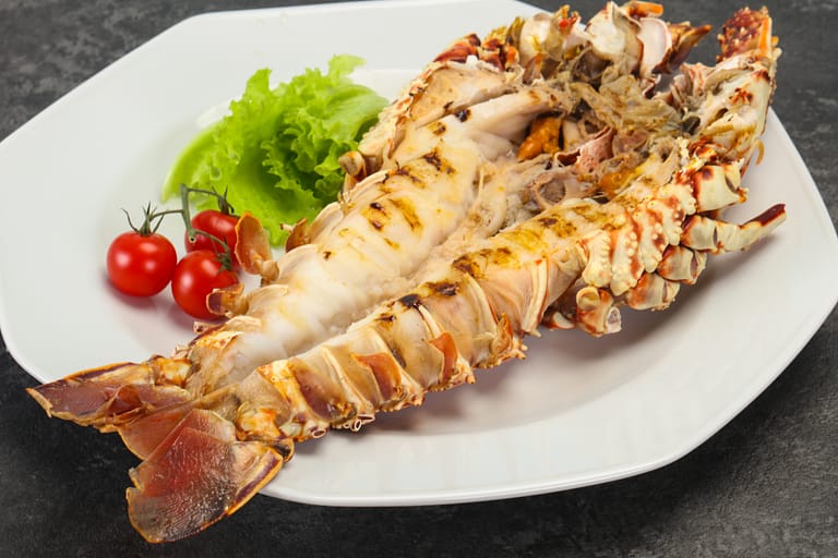 How To Choose A Fresh Lobster?
